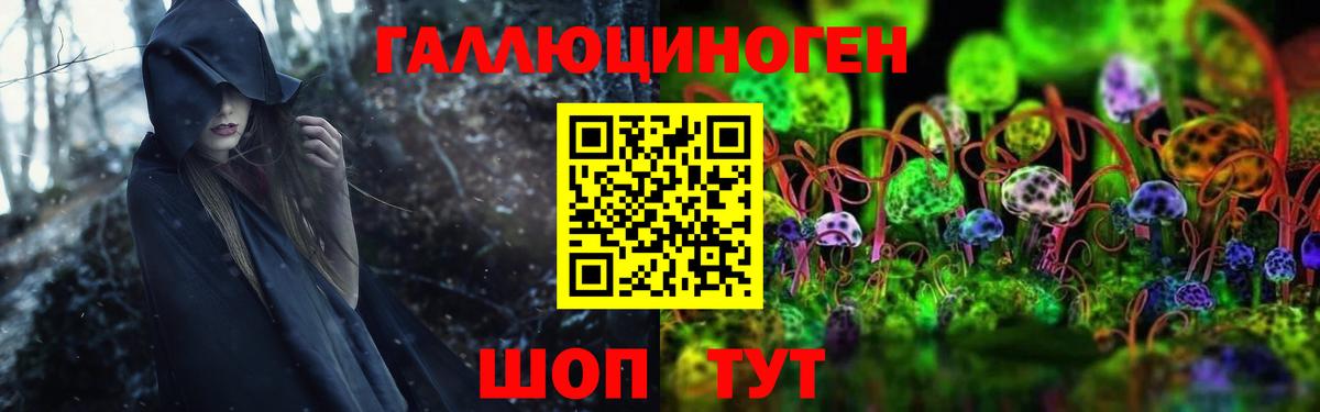 как найти наркотики  Вход с VPN  Новозыбков  Псилоцибиновые грибы Psilocybine cubensis 